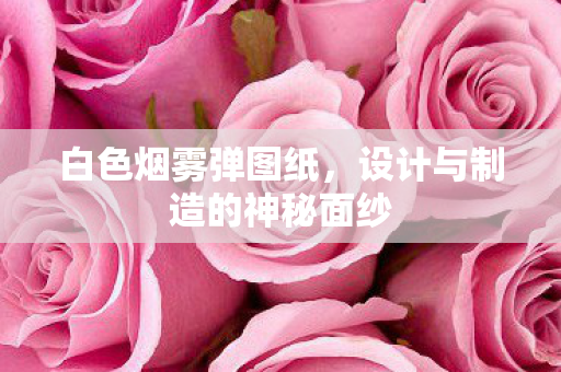 设计与制造的神秘面纱图片