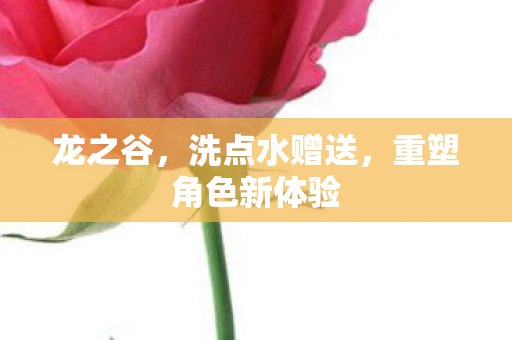 重塑角色新体验图片