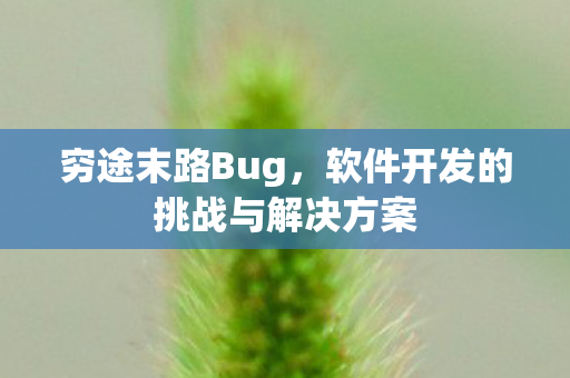 软件开发的挑战与解决方案图片