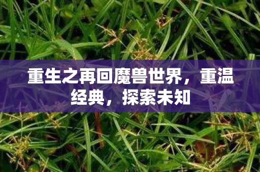 重生之再回魔兽世界图片
