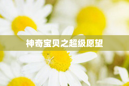 神奇宝贝之超级愿望图片