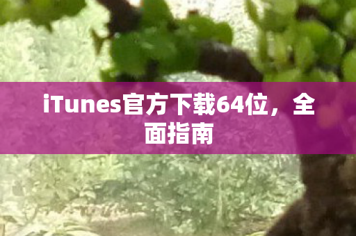iTunes官方下载64位图片