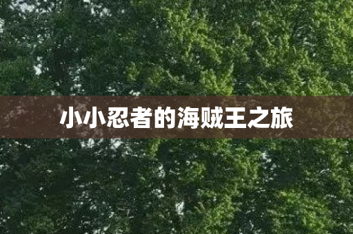 小小忍者的海贼王之旅图片