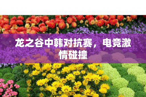 龙之谷中韩对抗赛图片