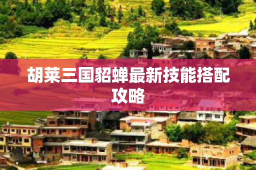 胡莱三国貂蝉最新技能搭配攻略图片