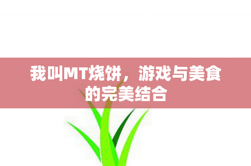 游戏与美食的完美结合图片