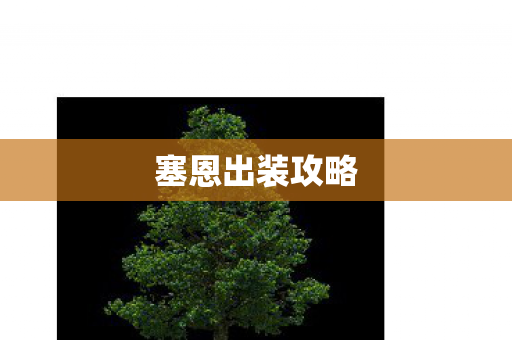 塞恩出装攻略图片