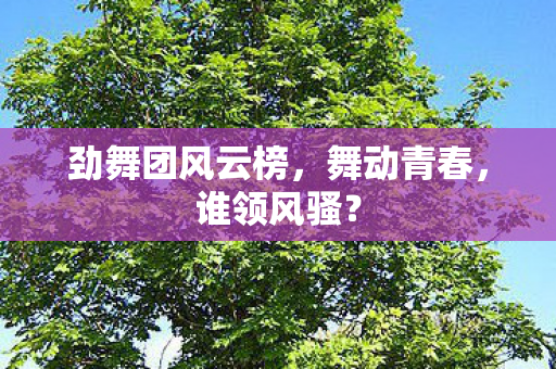 劲舞团风云榜图片