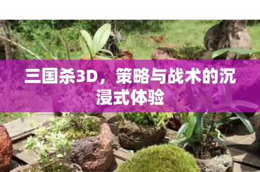 策略与战术的沉浸式体验图片