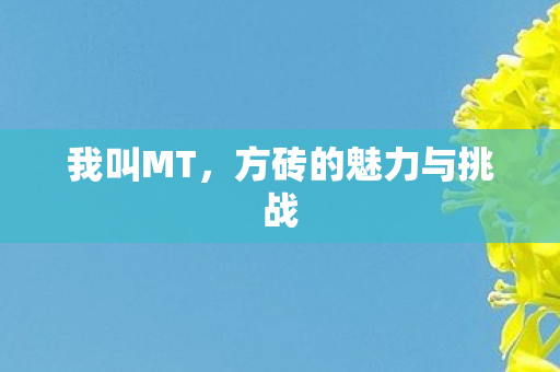 方砖的魅力与挑战图片