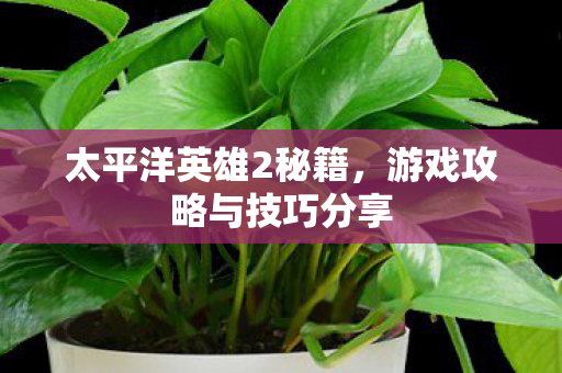游戏攻略与技巧分享图片