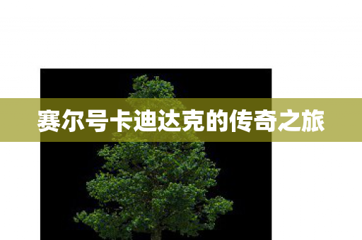 赛尔号卡迪达克的传奇之旅图片