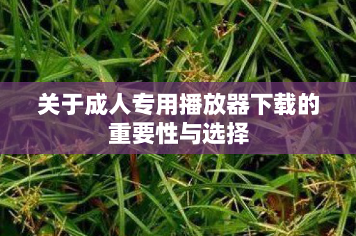 关于成人专用播放器下载的重要性与选择图片