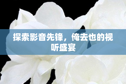 俺去也的视听盛宴图片