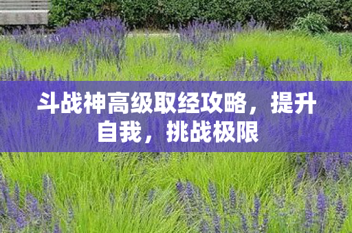 斗战神高级取经攻略图片