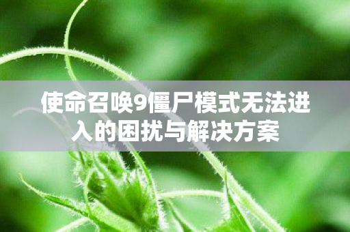 使命召唤9僵尸模式无法进入的困扰与解决方案图片