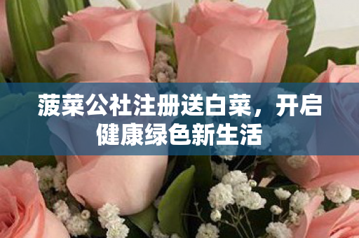 菠菜公社注册送白菜图片