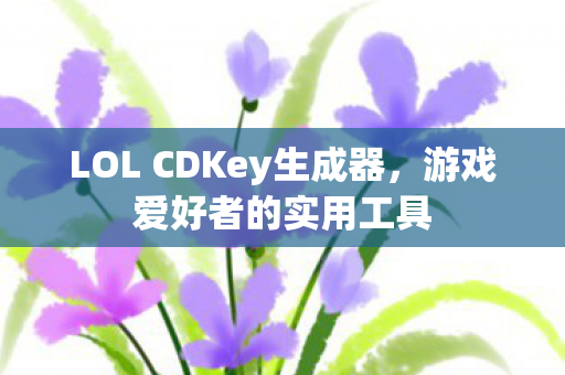 LOL CDKey生成器图片