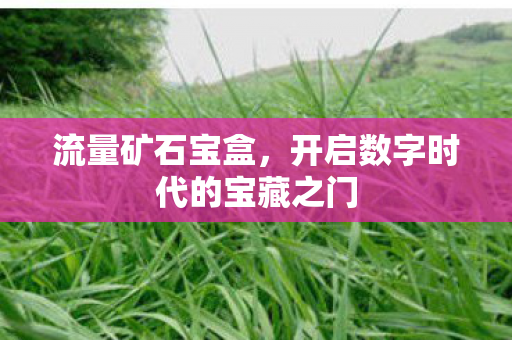 开启数字时代的宝藏之门图片