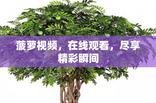 尽享精彩瞬间图片