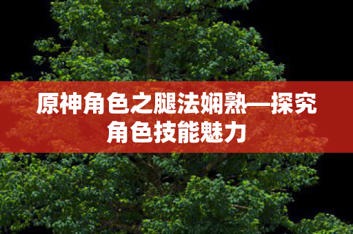 原神角色之腿法娴熟图片
