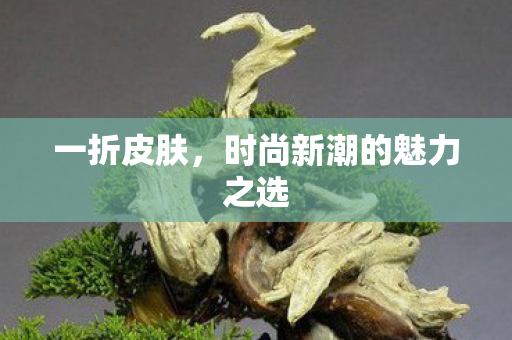 时尚新潮的魅力之选图片