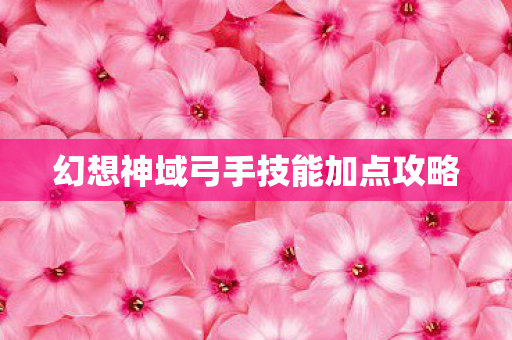 幻想神域弓手技能加点攻略图片