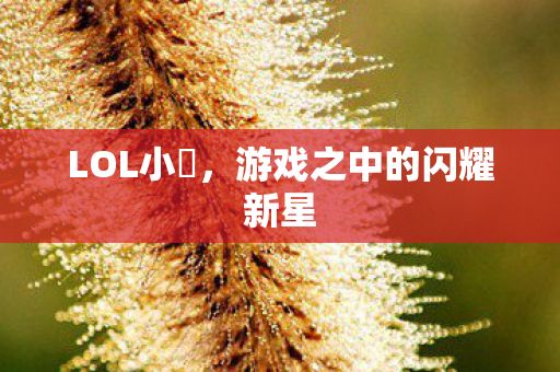 游戏之中的闪耀新星图片