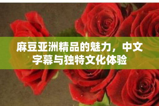 中文字幕与独特文化体验图片