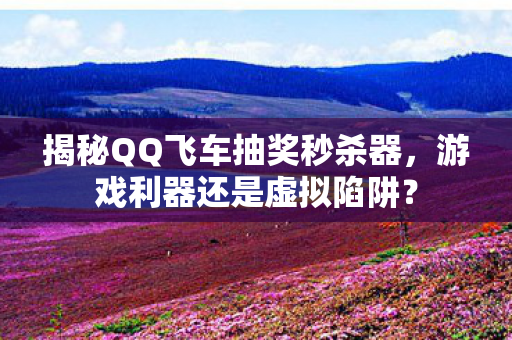 揭秘QQ飞车抽奖秒杀器图片