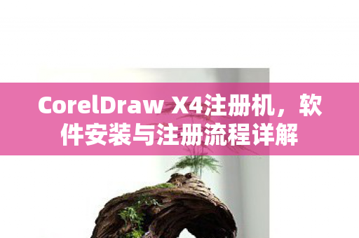 CorelDraw X4注册机图片