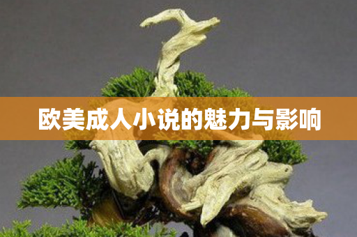 欧美成人小说的魅力与影响图片