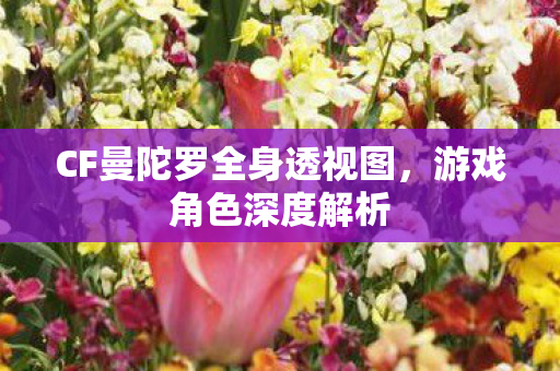 CF曼陀罗全身透视图图片