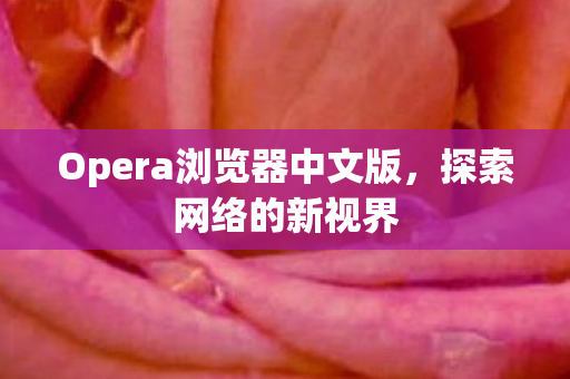 Opera浏览器中文版图片