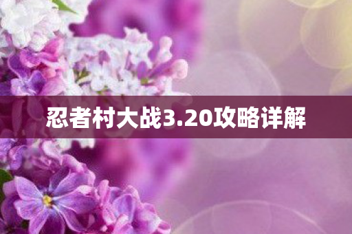 忍者村大战3图片