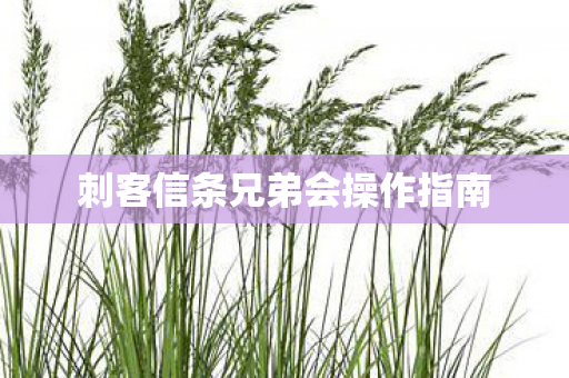 刺客信条兄弟会操作指南图片