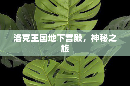洛克王国地下宫殿图片