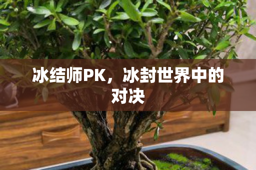 冰封世界中的对决图片