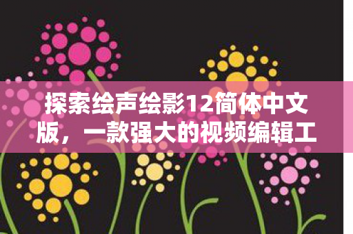 探索绘声绘影12简体中文版图片
