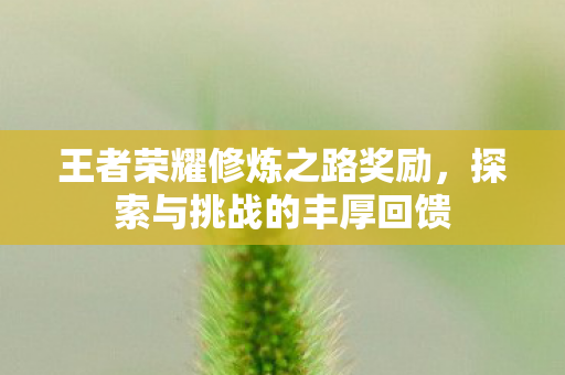 王者荣耀修炼之路奖励图片