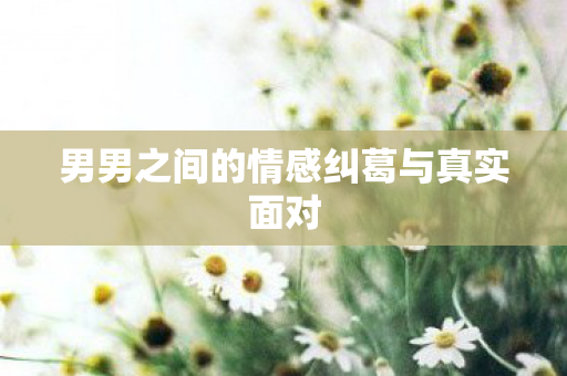 男男之间的情感纠葛与真实面对图片