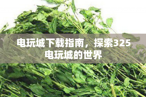 探索325电玩城的世界图片