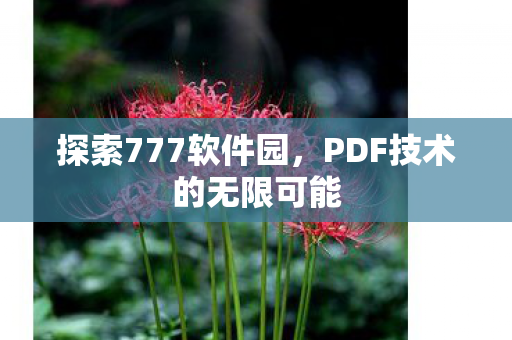 PDF技术的无限可能图片