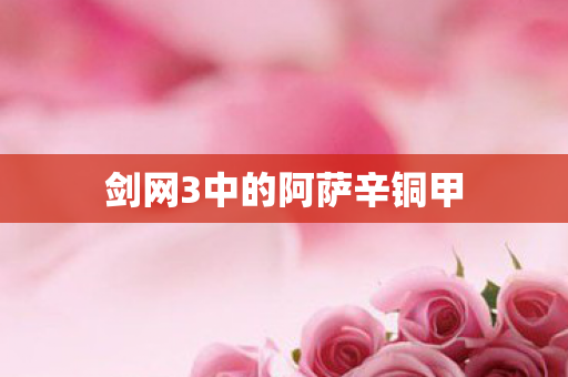 剑网3中的阿萨辛铜甲图片