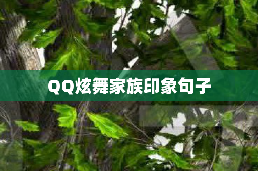 QQ炫舞家族印象句子图片