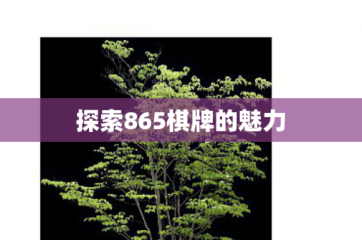 探索865棋牌的魅力图片