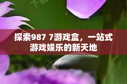 一站式游戏娱乐的新天地图片