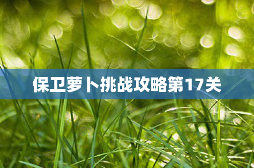 保卫萝卜挑战攻略第17关图片