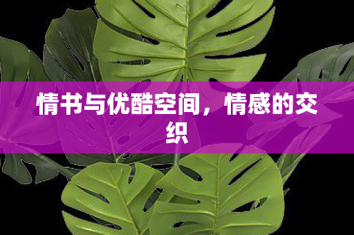 情书与优酷空间图片