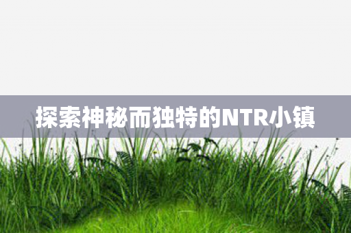 探索神秘而独特的NTR小镇图片